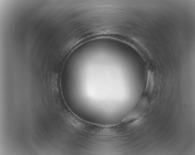 X0000067881265200604131253