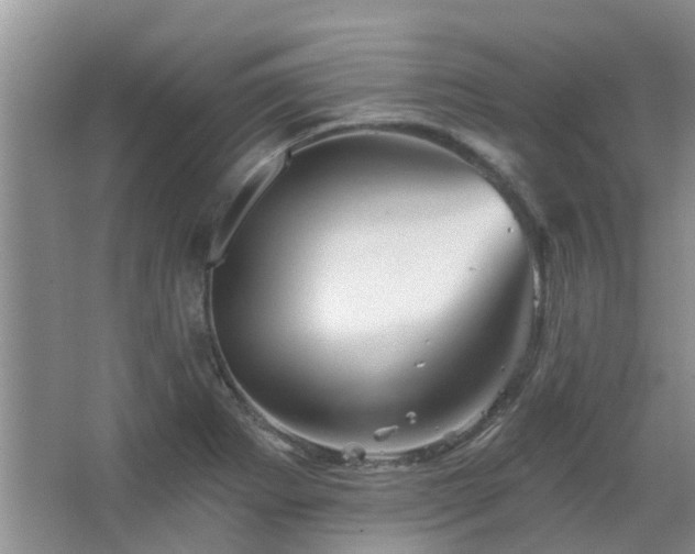 X0000067881273200604131253