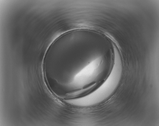 X0000067881291200604131252