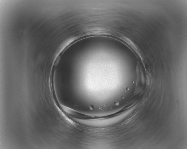 X0000067881293200604131252