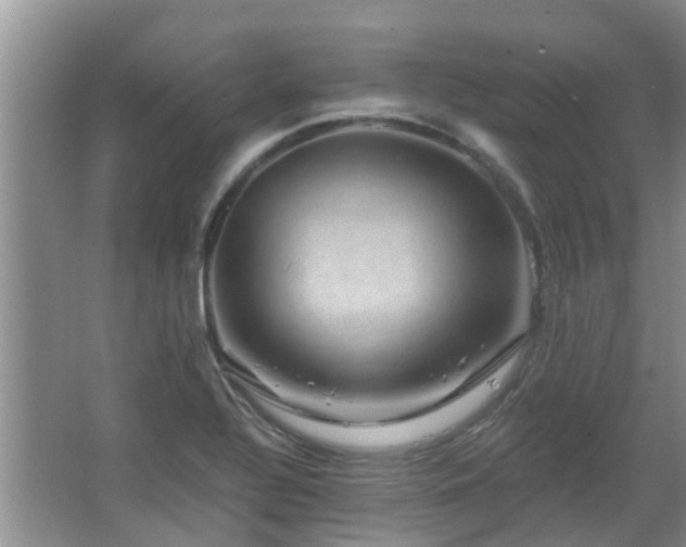 X0000067881320200604131252