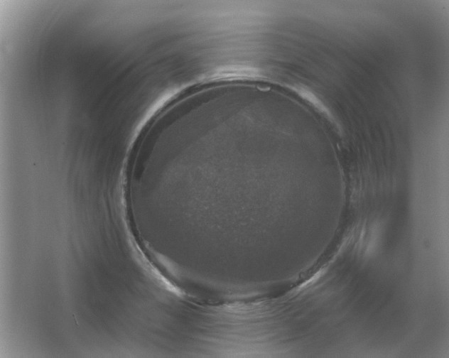 X0000067881325200604131252
