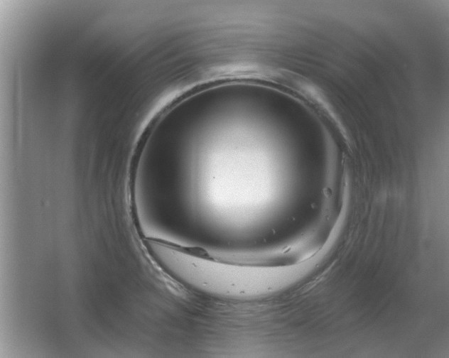 X0000067881328200604131252
