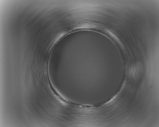 X0000067881329200604131252