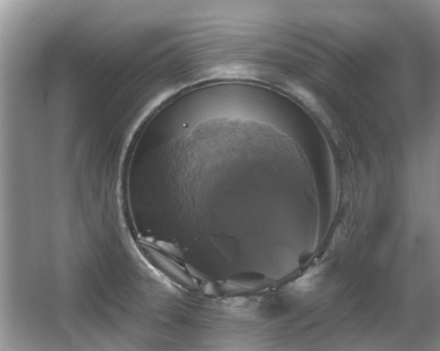 X0000067881331200604131252