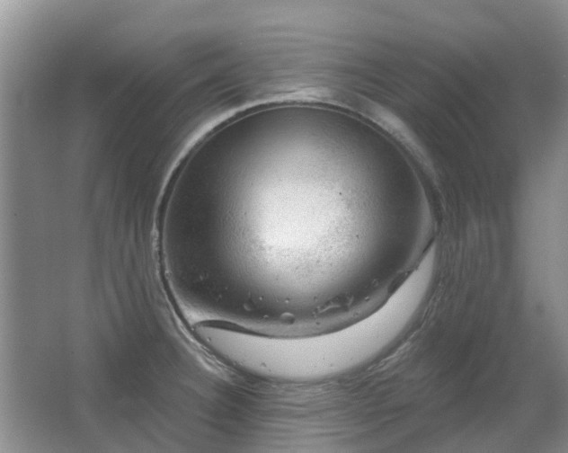 X0000067881332200604131252