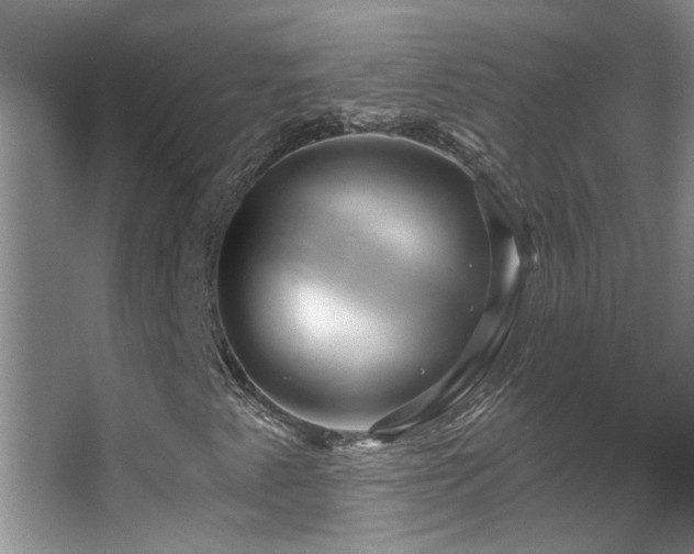 X0000067881345200604131252
