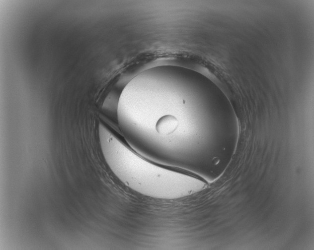 X0000067881348200604131252