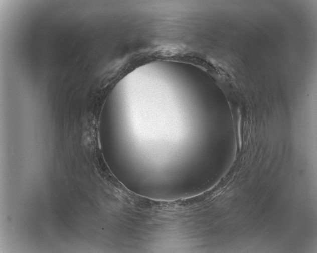 X0000067881349200604131252