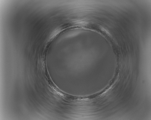 X0000067881354200604131251