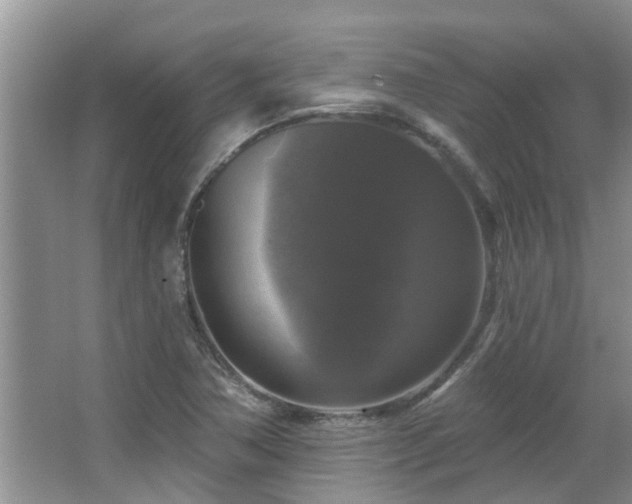 X0000067881362200604131251