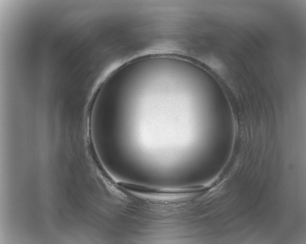 X0000067881366200604131251