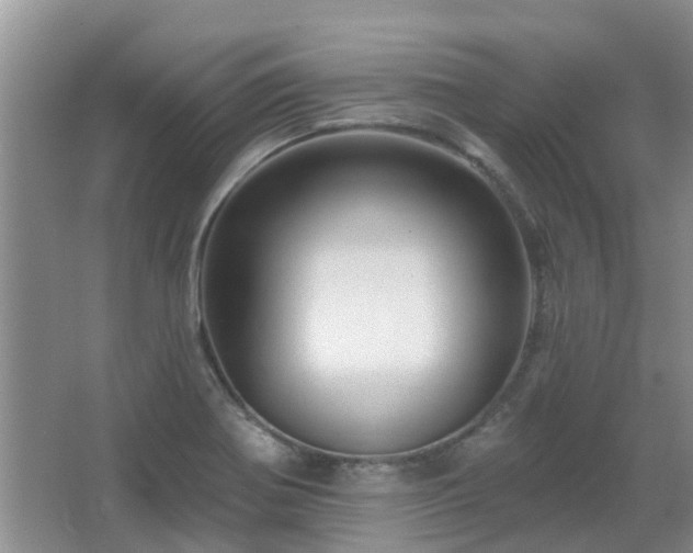 X0000067881370200604131251