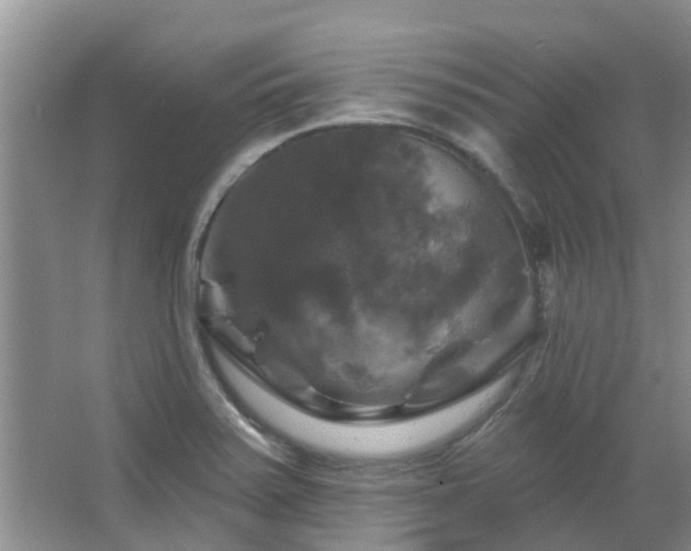 X0000067881371200604131251
