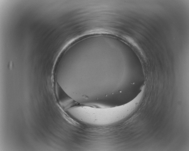 X0000067881372200604131251
