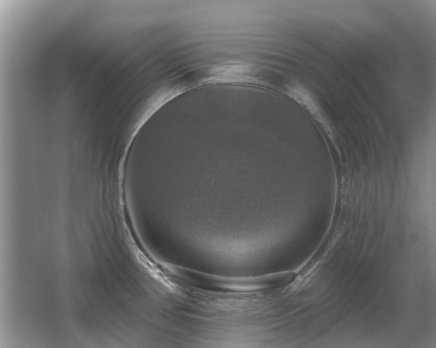 X0000067881386200604131251
