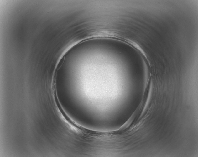 X0000067881387200604131251