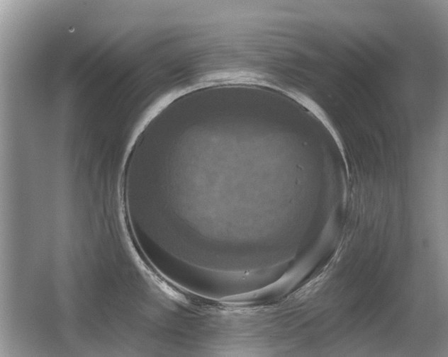X0000067881389200604131251