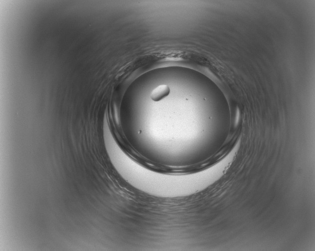 X0000067881394200604131250