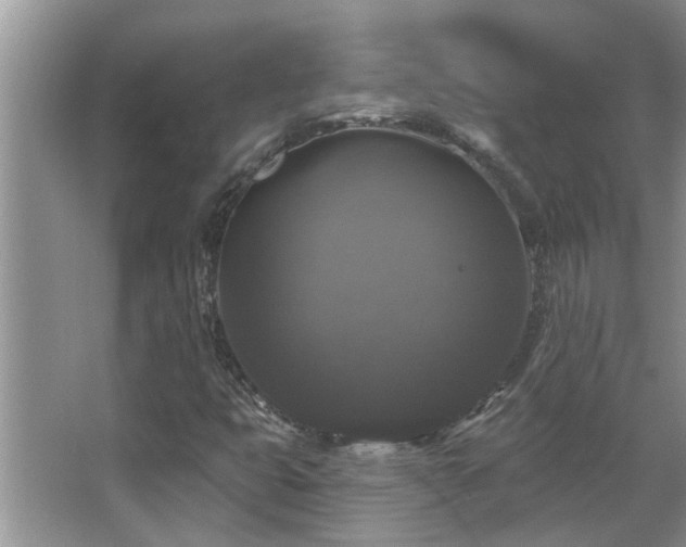 X0000067881399200604131250