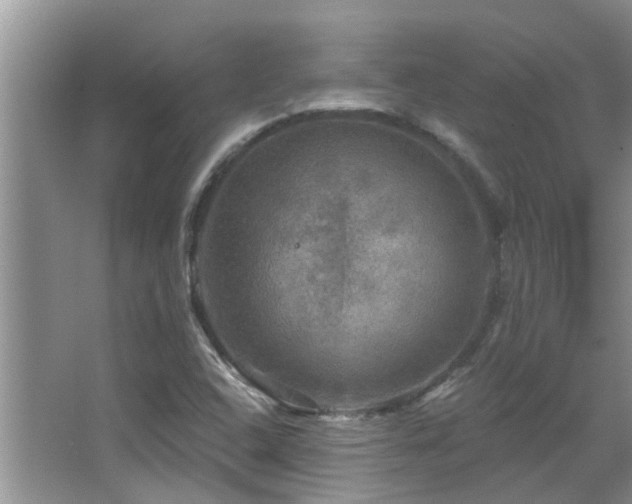 X0000067881408200604131250