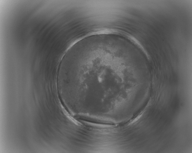 X0000067881417200604131250