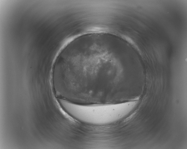 X0000067881421200604131250