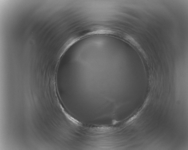X0000067881425200604131251