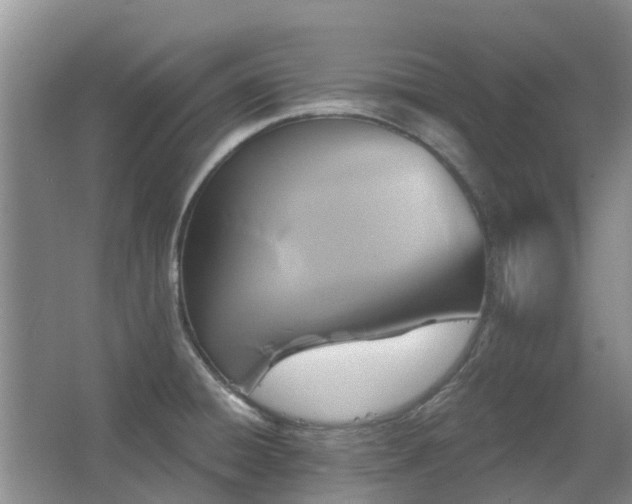 X0000067881428200604131251