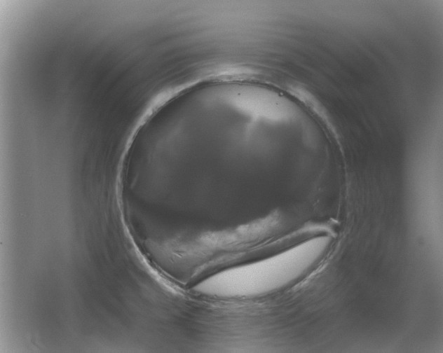 X0000067881429200604131251