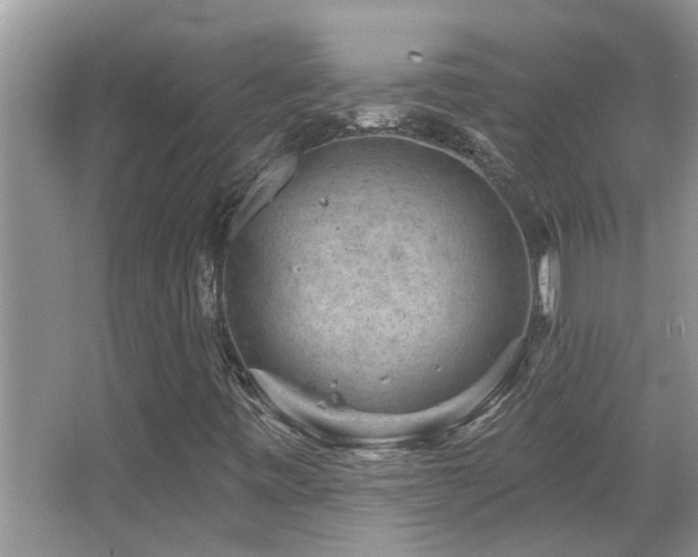 X0000067881443200604131250