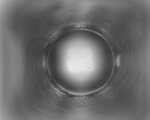 X0000067881444200604131250