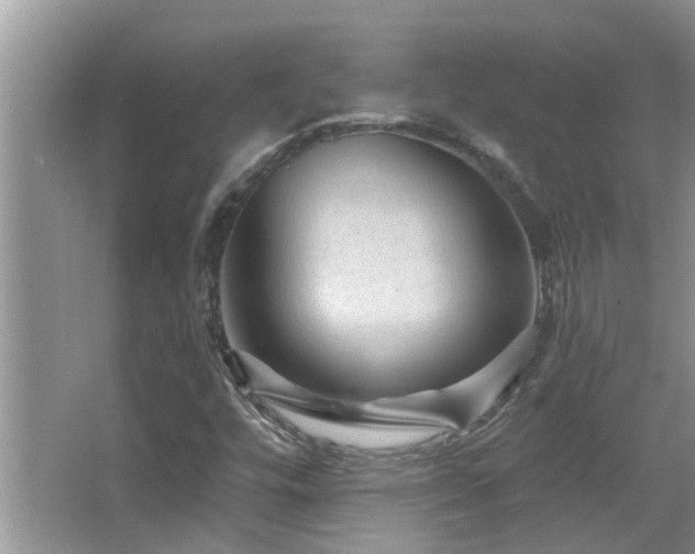 X0000067881448200604131250