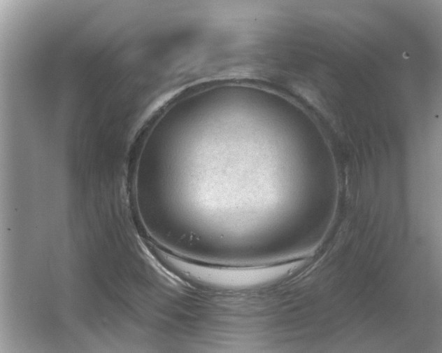 X0000067881452200604131250