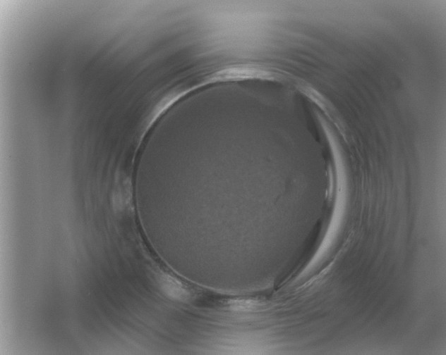 X0000067881465200604131250