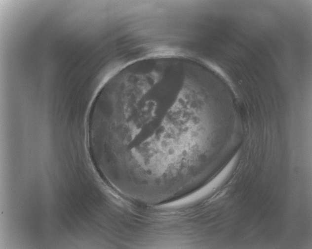 X0000067881467200604131249