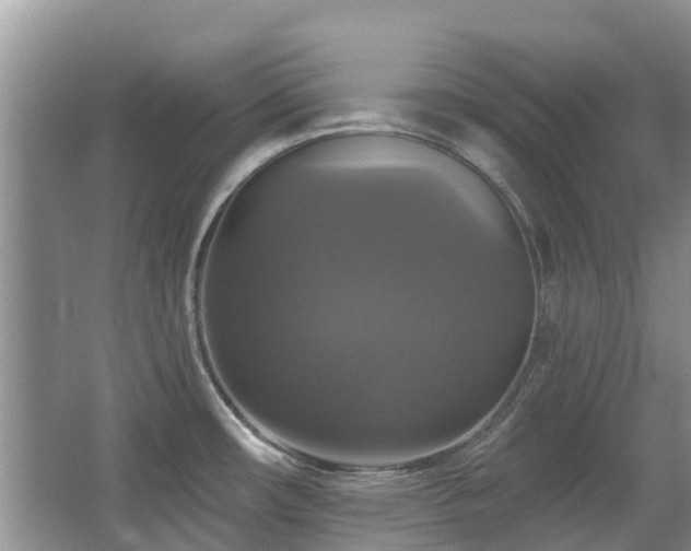 X0000067881482200604131249