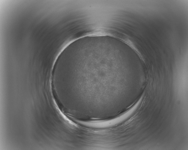 X0000067881484200604131249