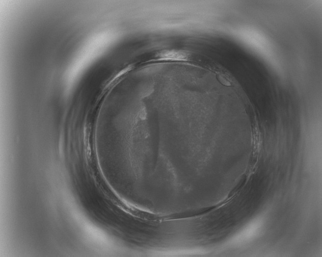 X0000067881487200604131249