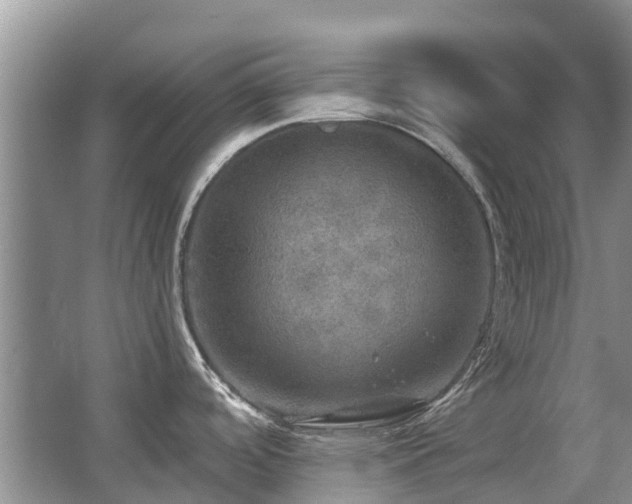 X0000067881488200604131249