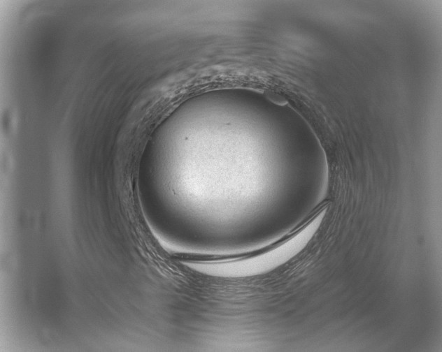 X0000067881489200604131248