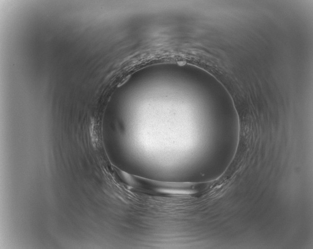 X0000067881490200604131248