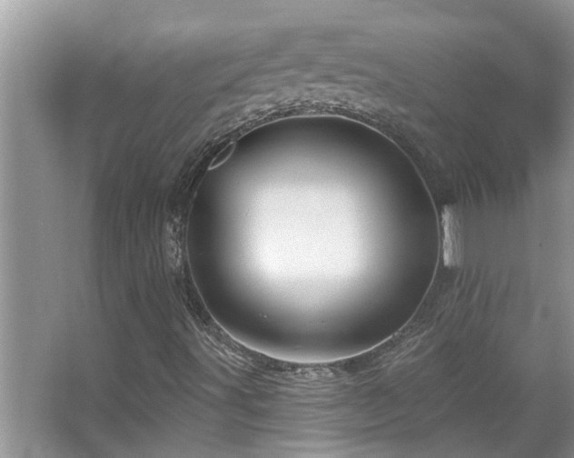 X0000067881491200604131248