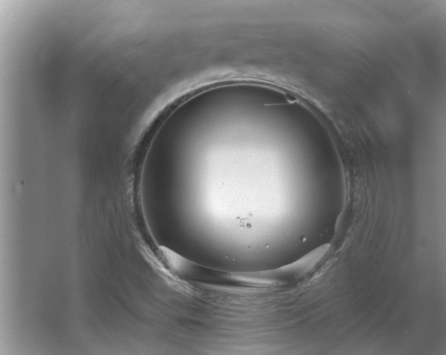 X0000067881503200604131249