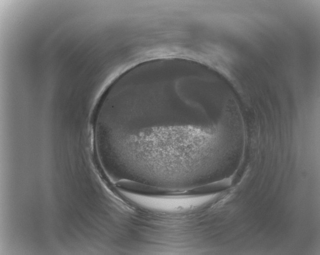 X0000067881509200604131249