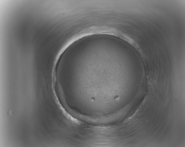 X0000067881520200604131249