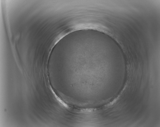 X0000067881521200604131249