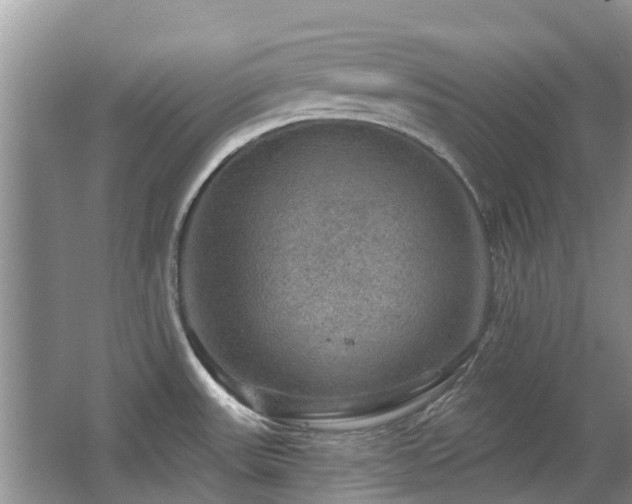 X0000067881531200604131249