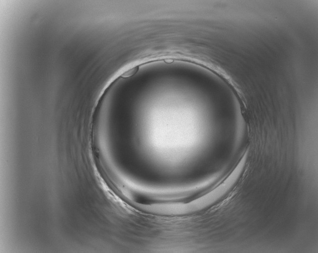 X0000067881534200604131249