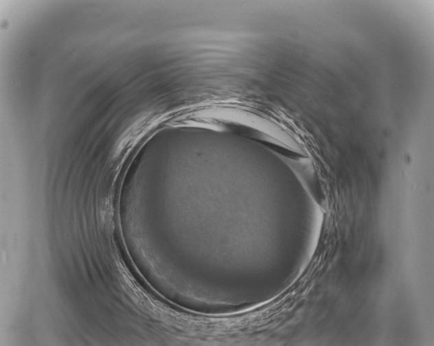X0000067880002200604171301